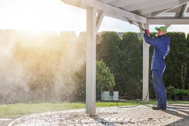 Best Animal Enclosure Cleaning  in Palm Bay, FL